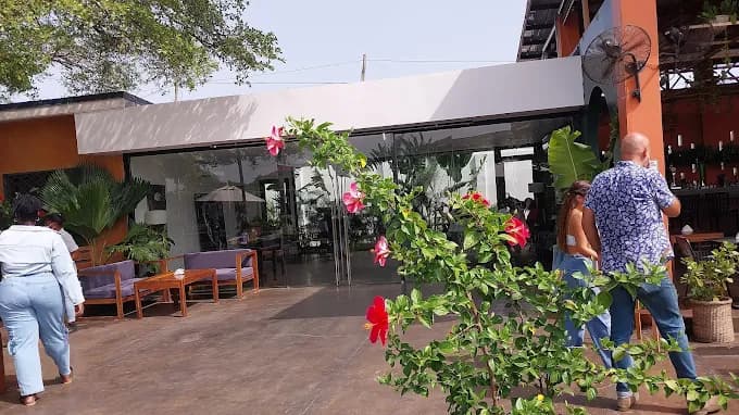 Treehouse Restaurant 4