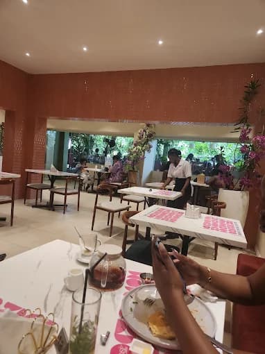 Rosé Garden 5